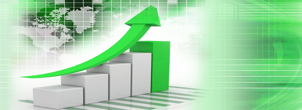 Increased Profitability